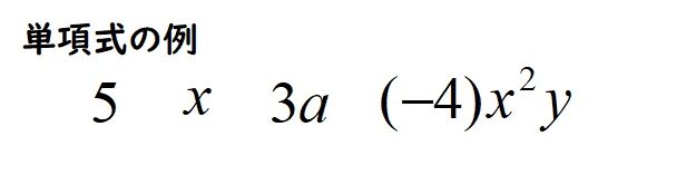 単項式の例
